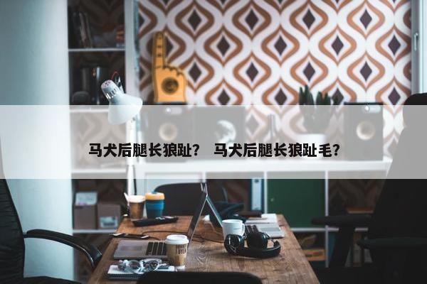后肢
