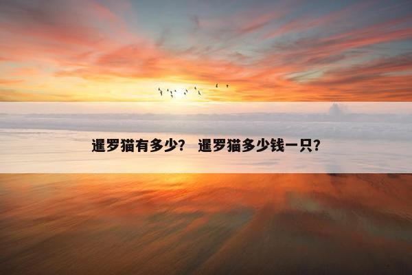 暹罗猫有多少？ 暹罗猫多少钱一只？