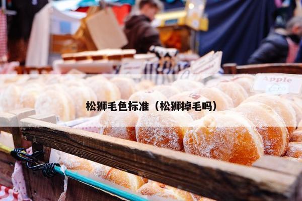 松狮毛色标准（松狮掉毛吗）