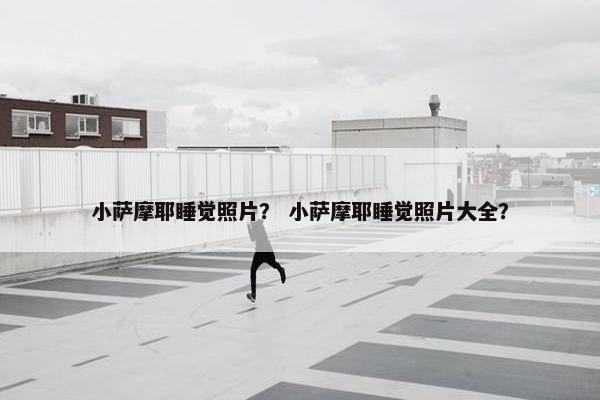 小萨摩耶睡觉照片？ 小萨摩耶睡觉照片大全？