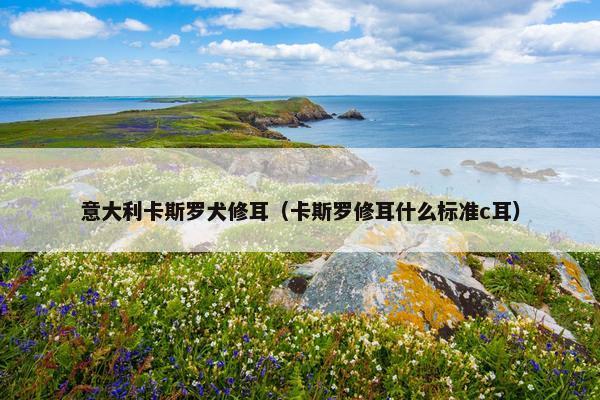意大利