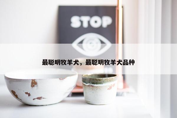 最聪明牧羊犬，最聪明牧羊犬品种