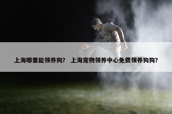 上海哪里能领养狗？ 上海宠物领养中心免费领养狗狗？
