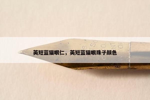英短蓝猫眼仁,英短蓝猫眼珠子颜色