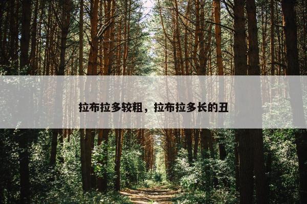 拉布拉多较粗，拉布拉多长的丑