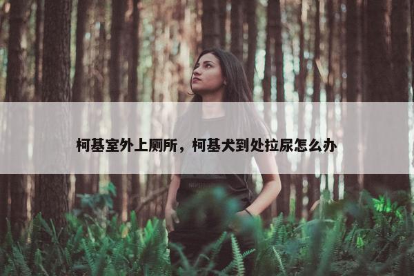 柯基室外上厕所，柯基犬到处拉尿怎么办