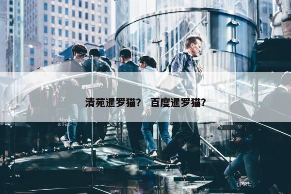 清苑暹罗猫? 百度暹罗猫?