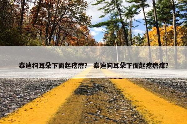 泰迪狗耳朵下面起疙瘩？ 泰迪狗耳朵下面起疙瘩痒？