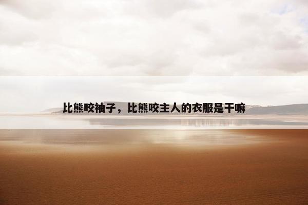 比熊咬袖子，比熊咬主人的衣服是干嘛