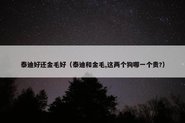 泰迪好还金毛好（泰迪和金毛,这两个狗哪一个贵?）