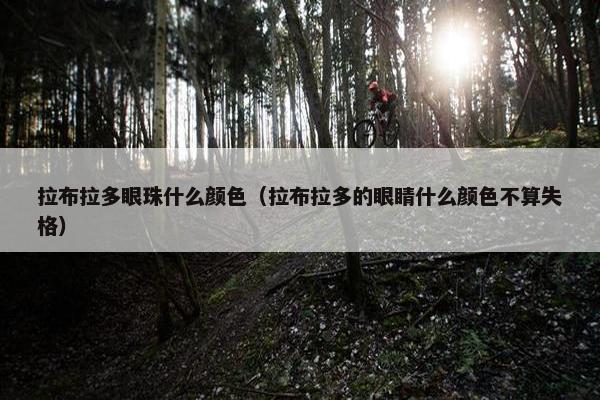 拉布拉多眼珠什么颜色（拉布拉多的眼睛什么颜色不算失格）