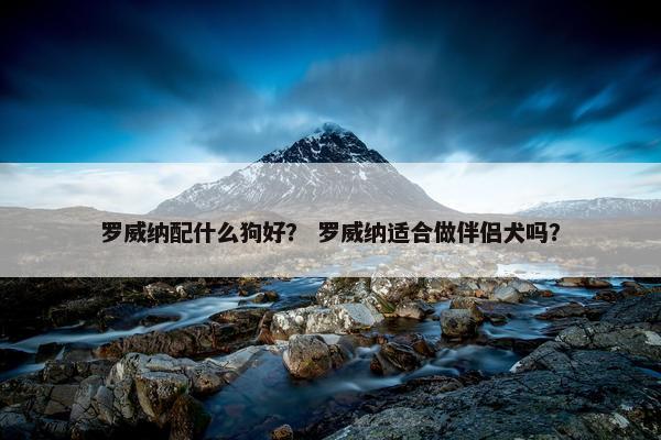 罗威纳配什么狗好？ 罗威纳适合做伴侣犬吗？