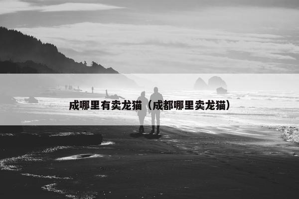 成哪里有卖龙猫(成都哪里卖龙猫)