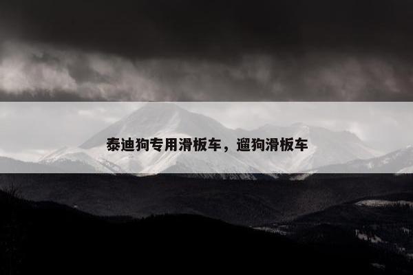 泰迪狗专用滑板车，遛狗滑板车