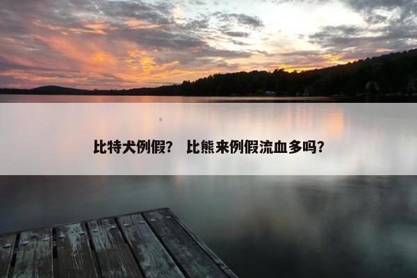 人类