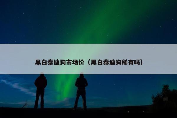 黑白泰迪狗市场价（黑白泰迪狗稀有吗）