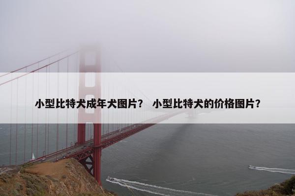 性格