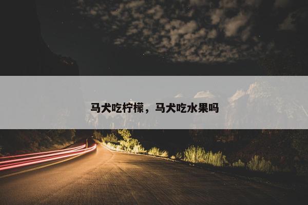 马犬吃柠檬,马犬吃水果吗