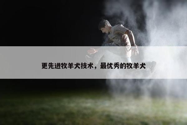 更先进牧羊犬技术，最优秀的牧羊犬