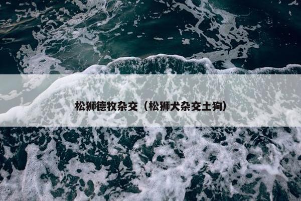 松狮