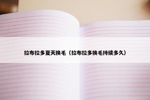 拉布拉多夏天换毛（拉布拉多换毛持续多久）