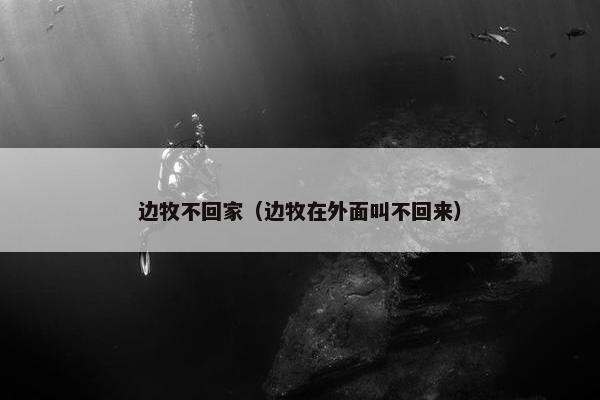 边牧不回家（边牧在外面叫不回来）