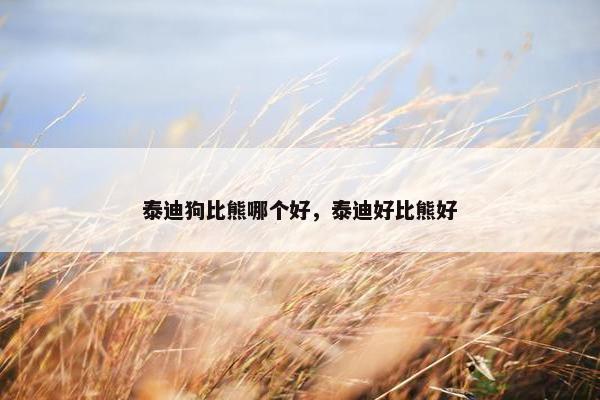 泰迪狗比熊哪个好，泰迪好比熊好
