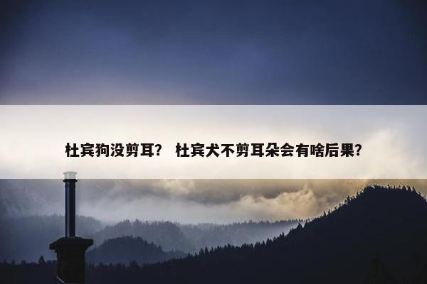杜宾狗没剪耳？ 杜宾犬不剪耳朵会有啥后果？