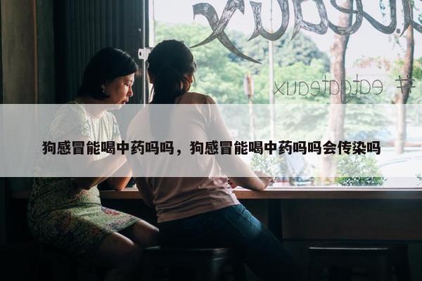狗感冒能喝中药吗吗，狗感冒能喝中药吗吗会传染吗