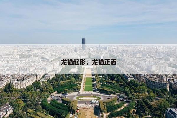 龙猫起形,龙猫正面
