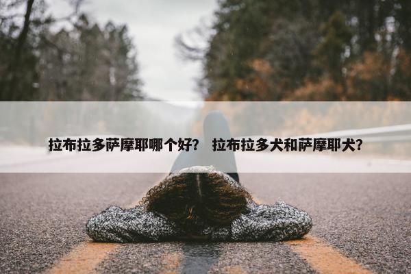 拉布拉多萨摩耶哪个好？ 拉布拉多犬和萨摩耶犬？