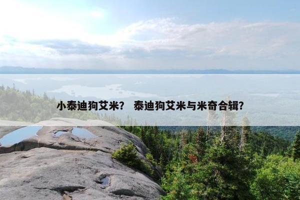 小泰迪狗艾米？ 泰迪狗艾米与米奇合辑？