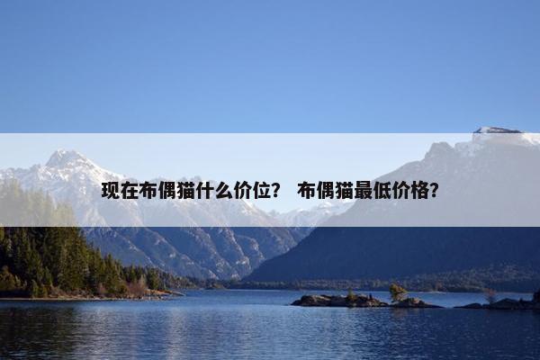 价格