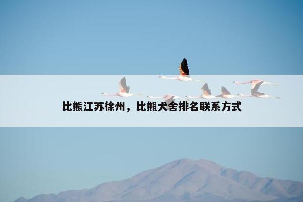 比熊江苏徐州，比熊犬舍排名联系方式