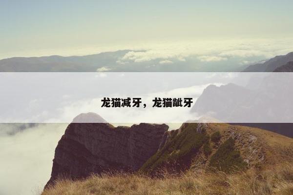 龙猫减牙,龙猫龇牙