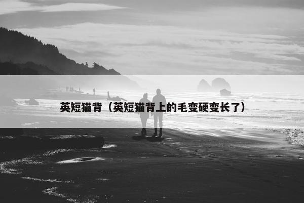 英短猫背(英短猫背上的毛变硬变长了)