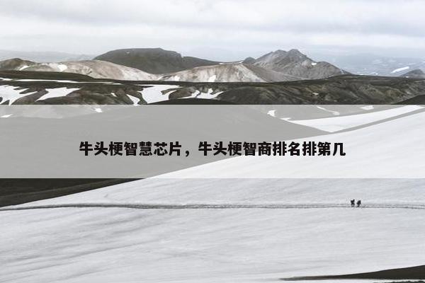 智慧
