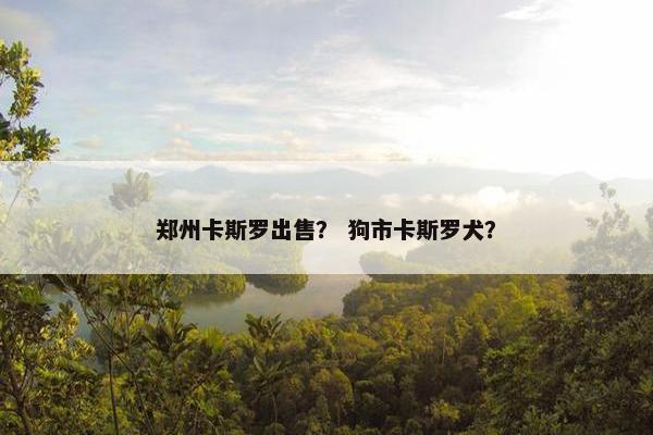 郑州卡斯罗出售? 狗市卡斯罗犬?