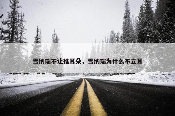 雪纳瑞不让推耳朵，雪纳瑞为什么不立耳