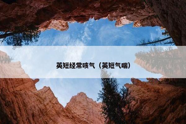 英短经常咳气（英短气喘）