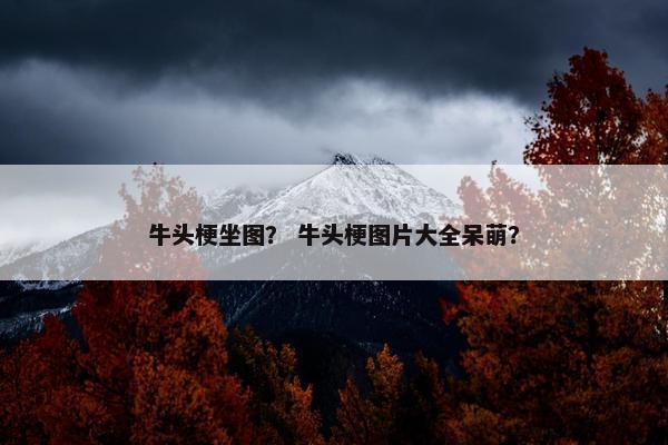 牛头梗坐图？ 牛头梗图片大全呆萌？
