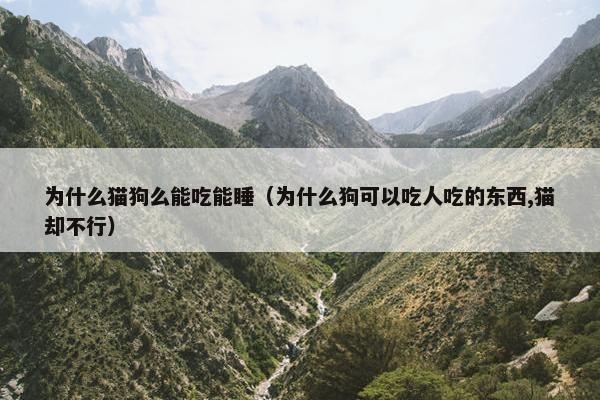 为什么猫狗么能吃能睡（为什么狗可以吃人吃的东西,猫却不行）