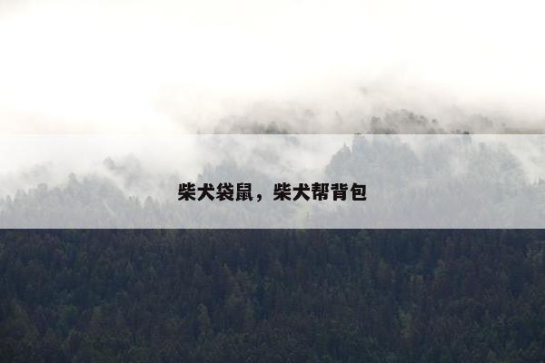 柴犬袋鼠,柴犬帮背包