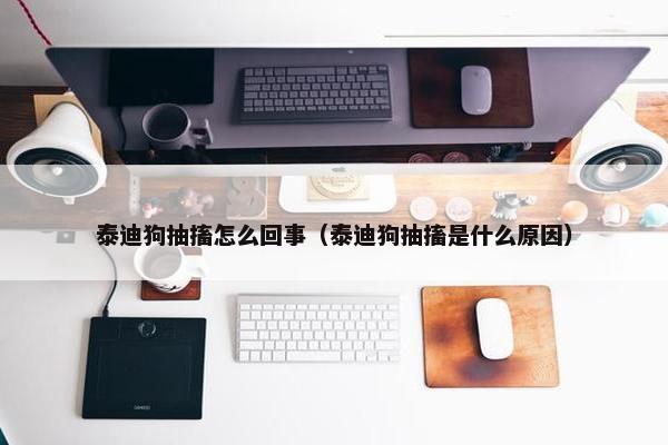 泰迪狗抽搐怎么回事（泰迪狗抽搐是什么原因）