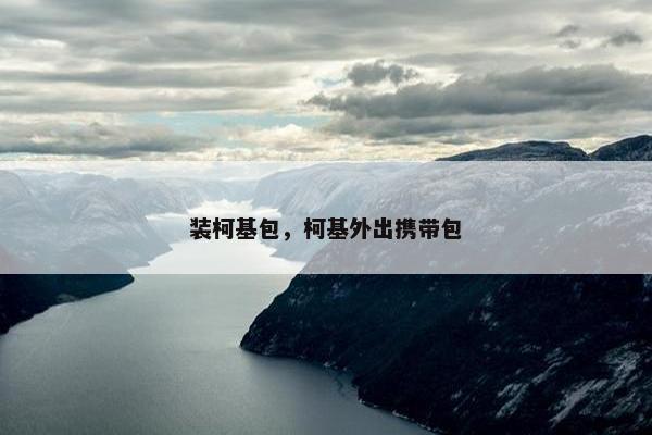 装柯基包，柯基外出携带包