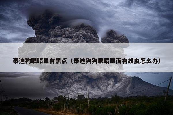 泰迪狗眼睛里有黑点（泰迪狗狗眼睛里面有线虫怎么办）