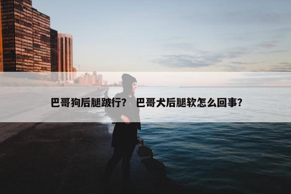 巴哥狗后腿跛行? 巴哥犬后腿软怎么回事?