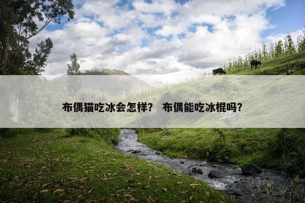 布偶猫吃冰会怎样? 布偶能吃冰棍吗?