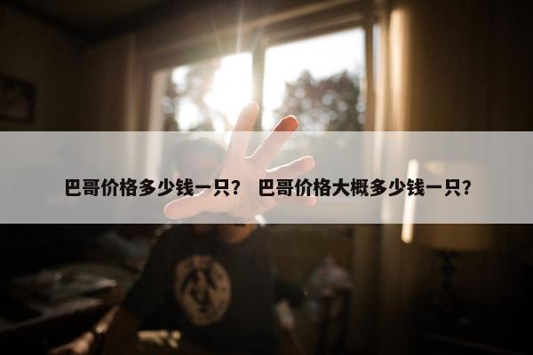 巴哥价格多少钱一只? 巴哥价格大概多少钱一只?
