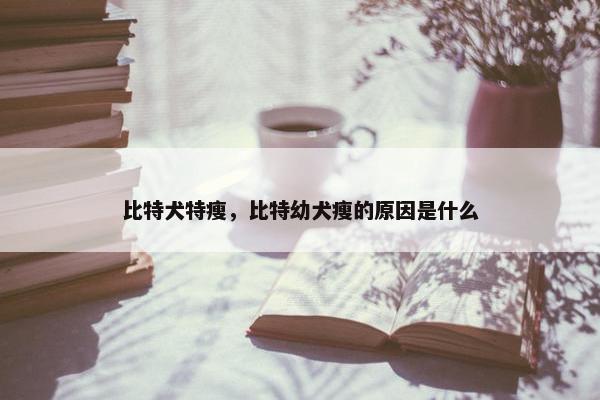 比特犬特瘦,比特幼犬瘦的原因是什么